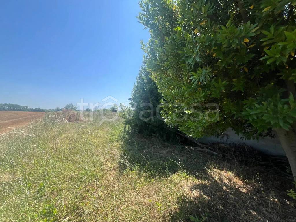 immagine annuncio 4 di 8