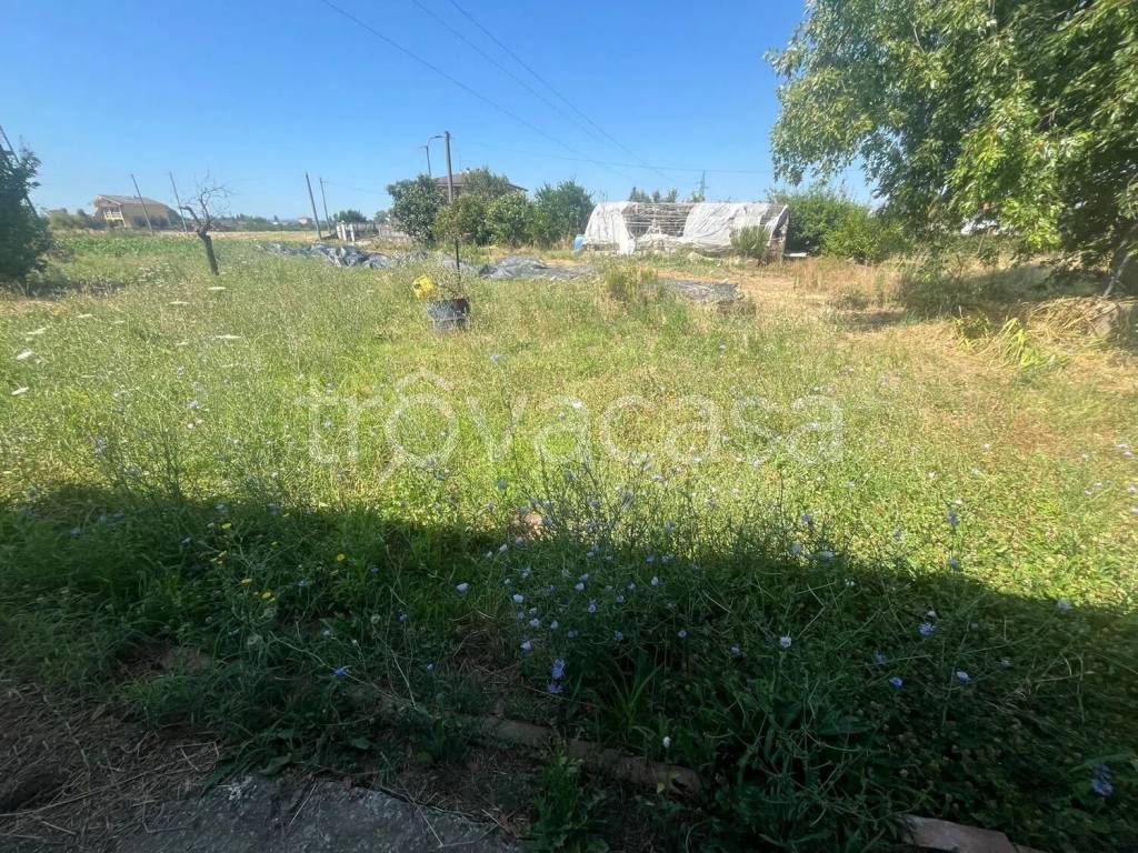 immagine annuncio 5 di 8