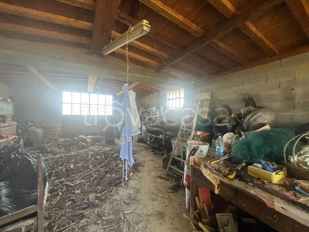 immagine annuncio 7 di 8