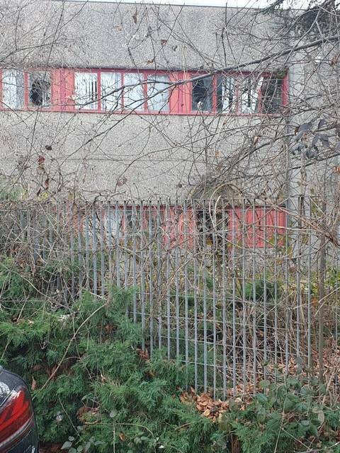 immagine annuncio 2 di 8