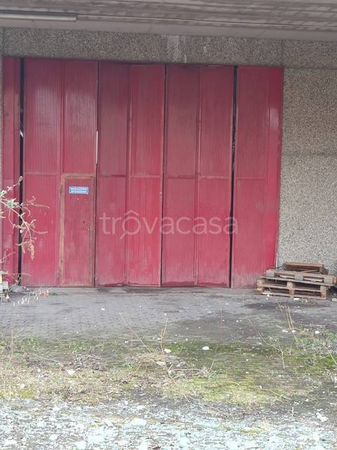 immagine annuncio 3 di 8