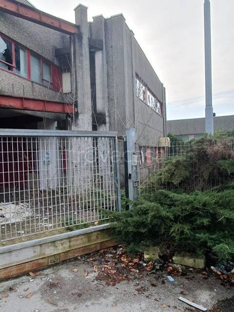 immagine annuncio 4 di 8