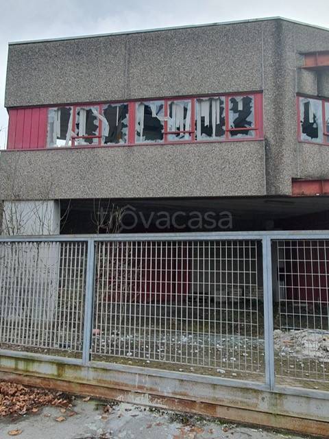 immagine annuncio 5 di 8