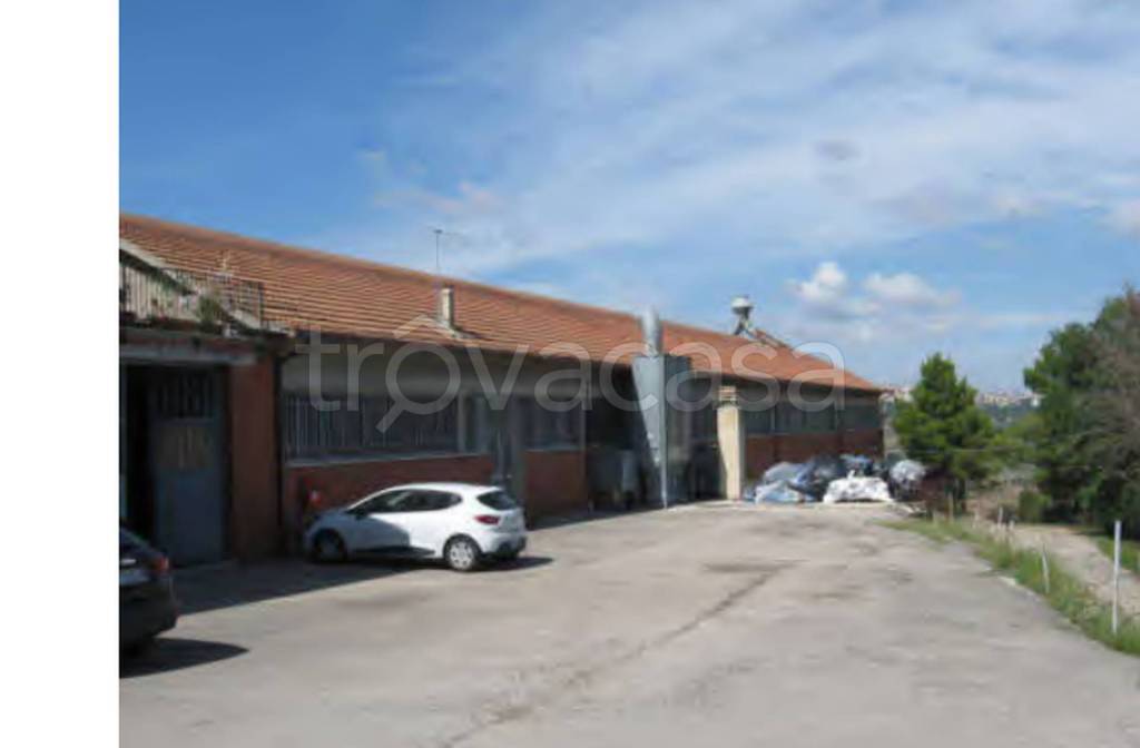 immagine annuncio 8 di 10