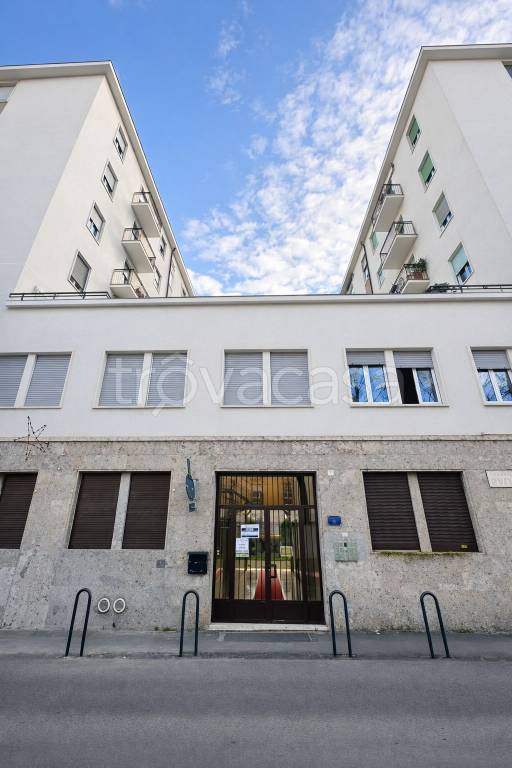 immagine annuncio 10 di 12