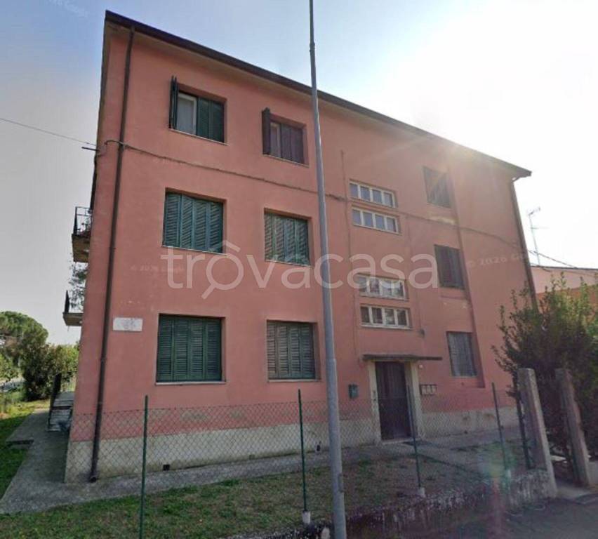 immagine annuncio 5 di 11