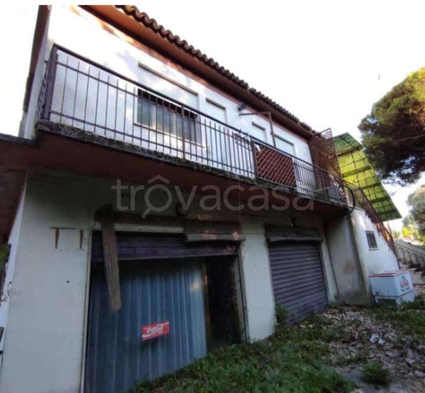 immagine annuncio 5 di 14