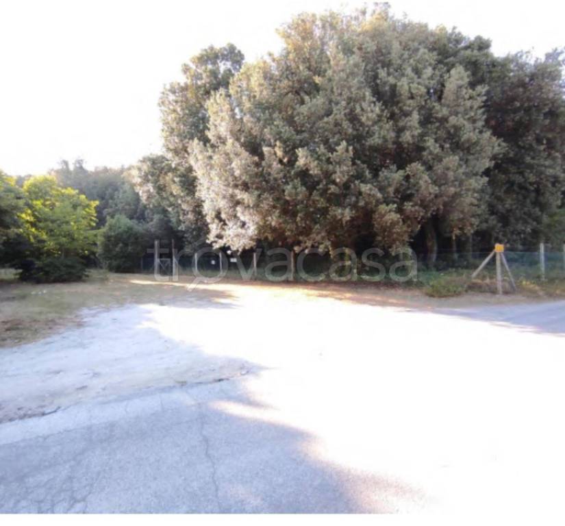 immagine annuncio 8 di 14