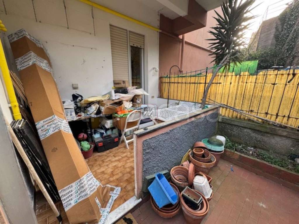 immagine annuncio 2 di 12