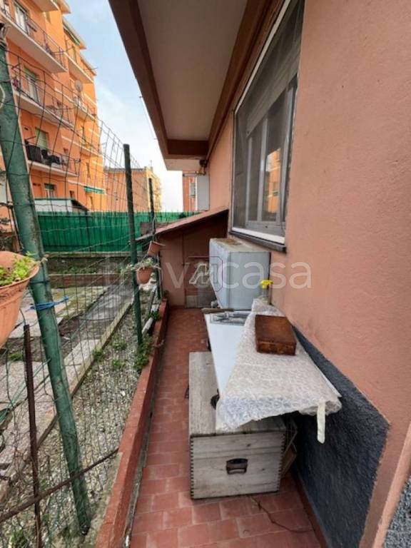 immagine annuncio 7 di 12