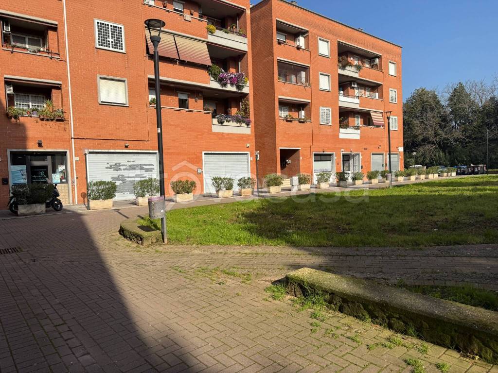 immagine annuncio 3 di 14