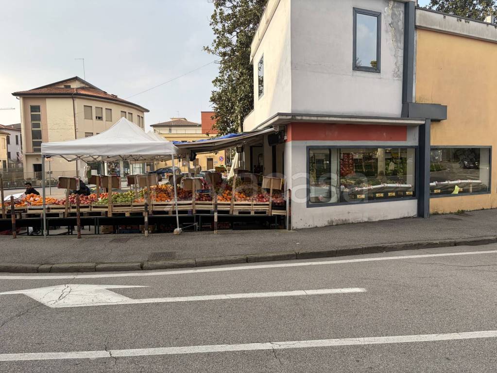 immagine annuncio 8 di 14