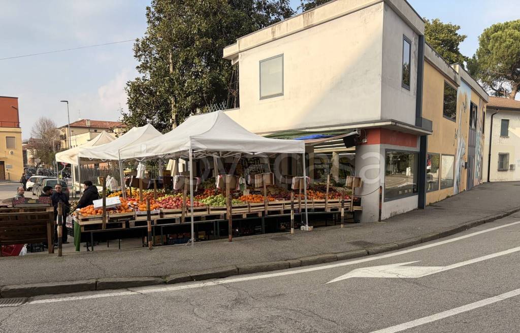 immagine annuncio 9 di 14