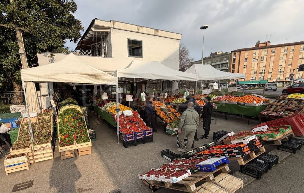 immagine annuncio 11 di 14