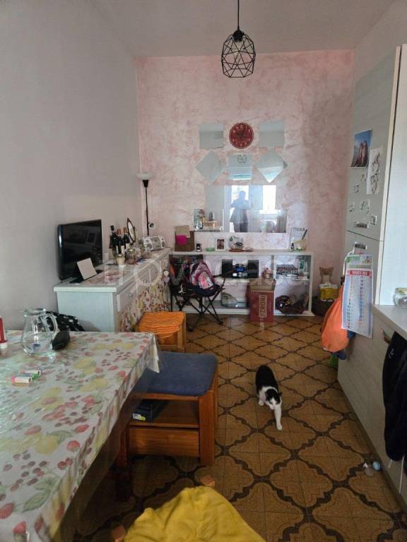 immagine annuncio 7 di 14