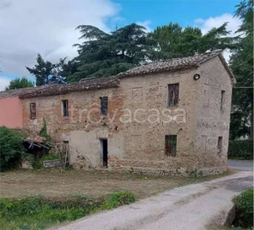 immagine annuncio 7 di 12