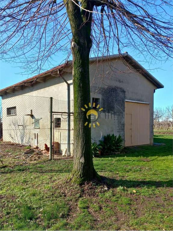 immagine annuncio 4 di 8