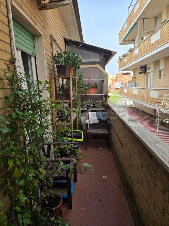 immagine annuncio 10 di 14