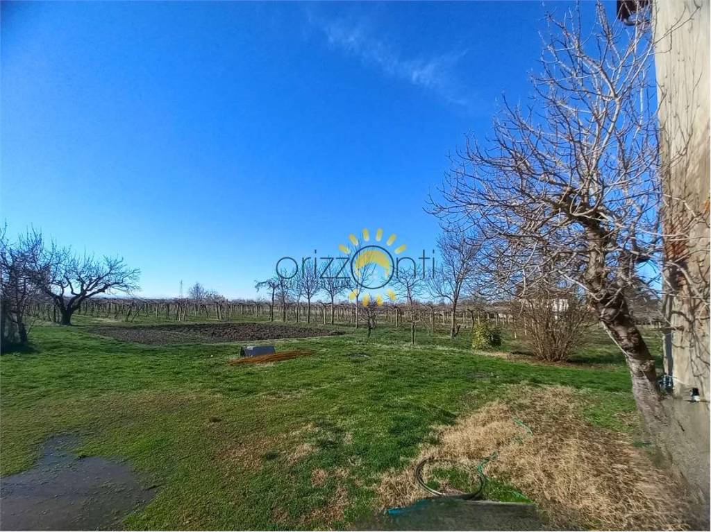 immagine annuncio 5 di 8