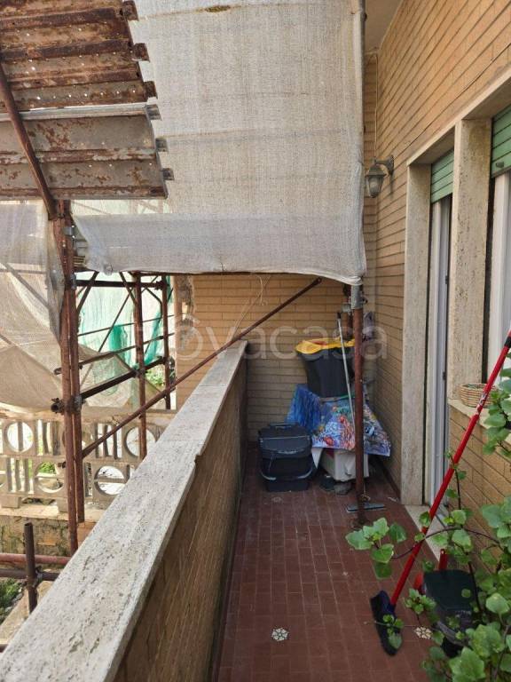 immagine annuncio 12 di 14