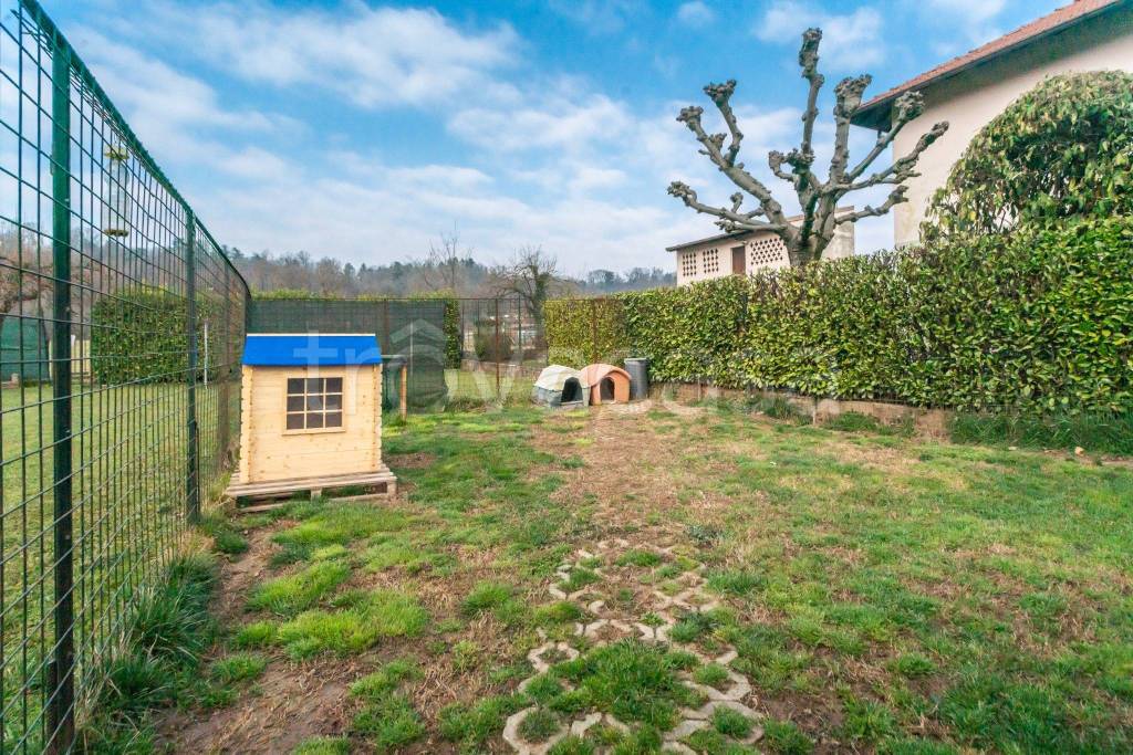 immagine annuncio 7 di 15