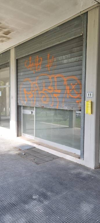 immagine annuncio 1 di 8