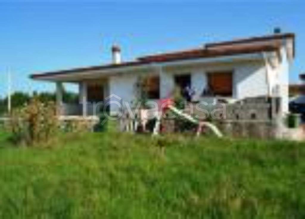 immagine annuncio 9 di 12