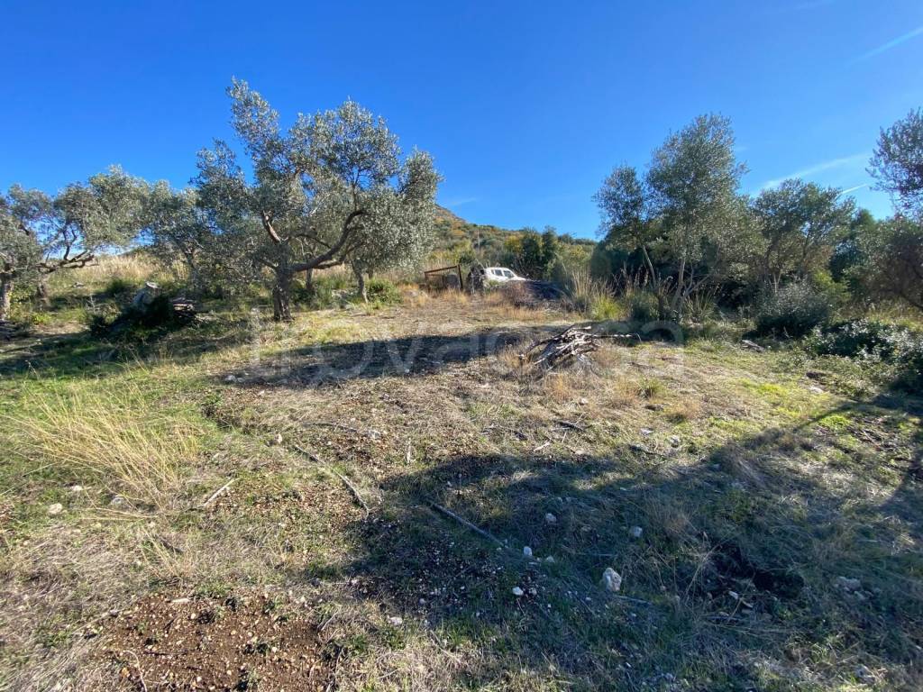 immagine annuncio 10 di 13