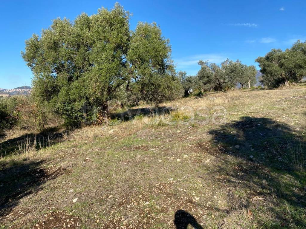 immagine annuncio 11 di 13