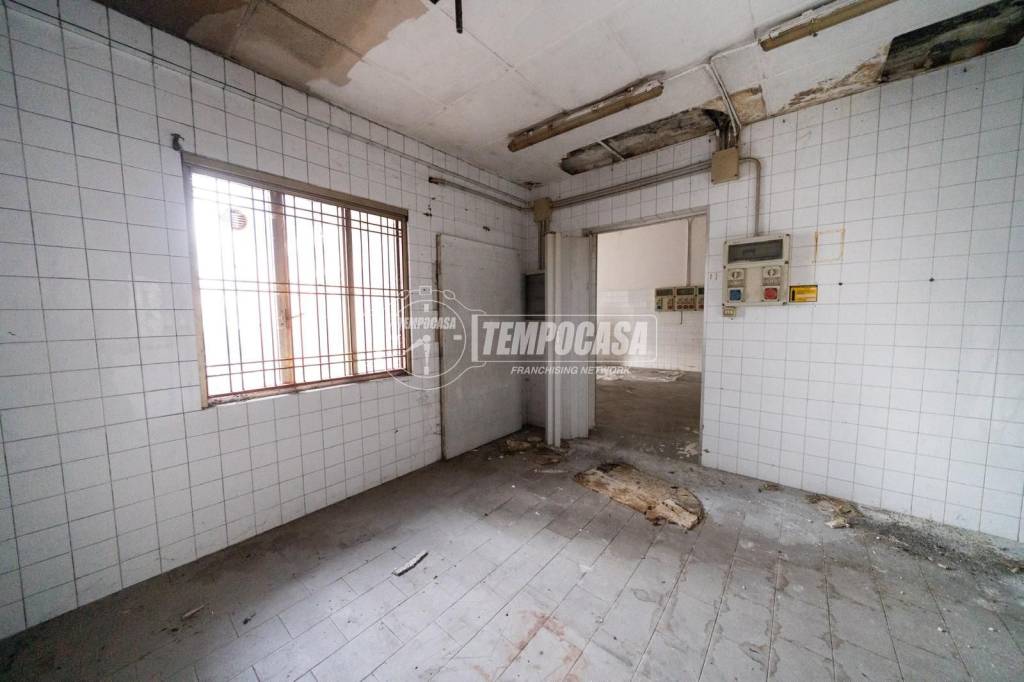 immagine annuncio 7 di 13