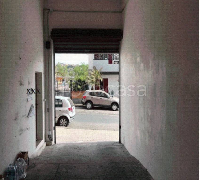 immagine annuncio 3 di 7