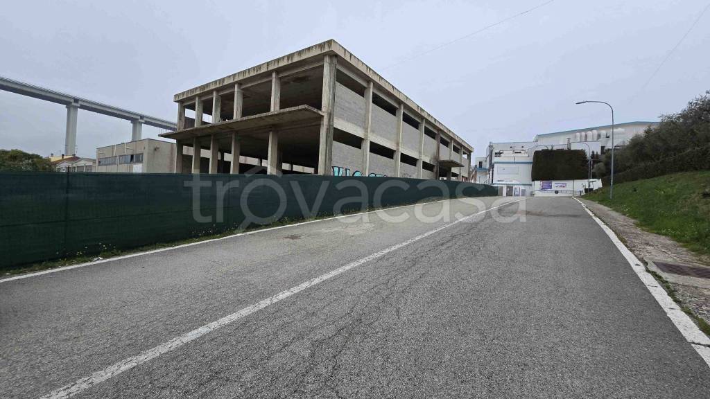 immagine annuncio 3 di 11