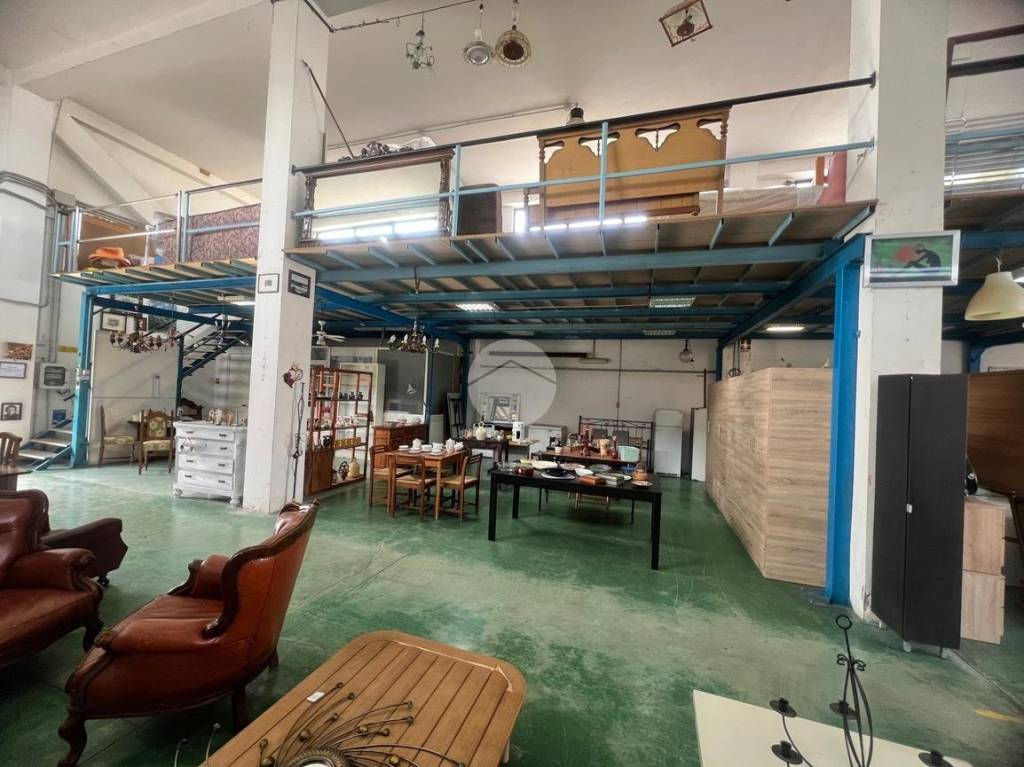 immagine annuncio 9 di 15