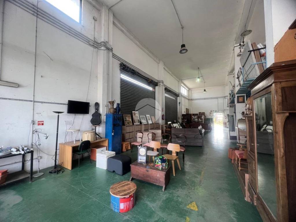 immagine annuncio 10 di 15