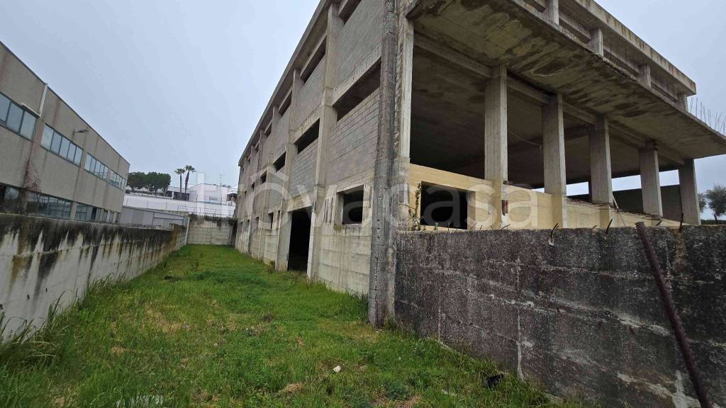 immagine annuncio 4 di 11
