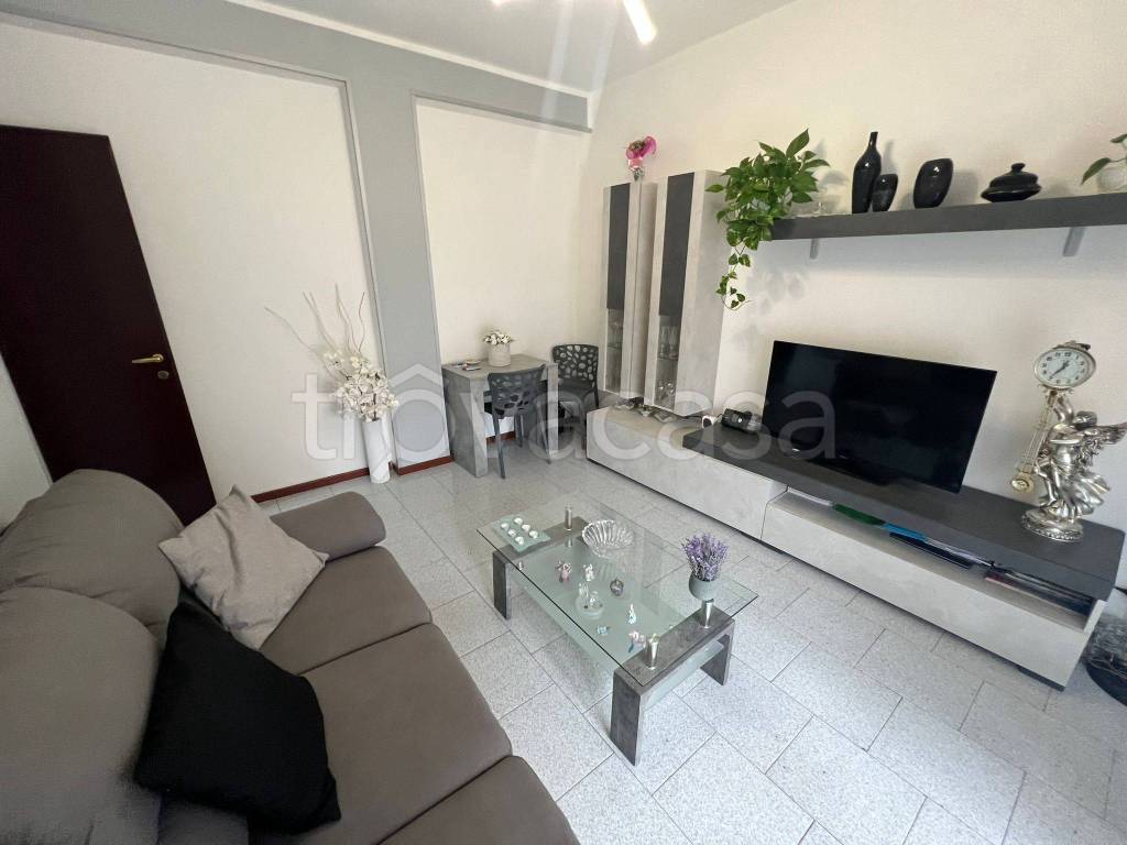 immagine annuncio 2 di 14