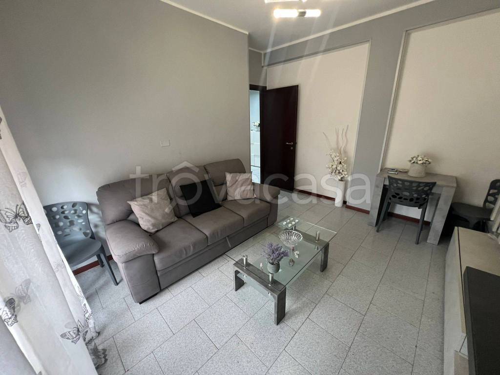 immagine annuncio 5 di 14