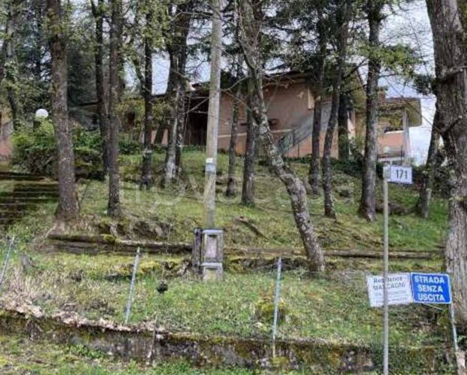 immagine annuncio 2 di 11