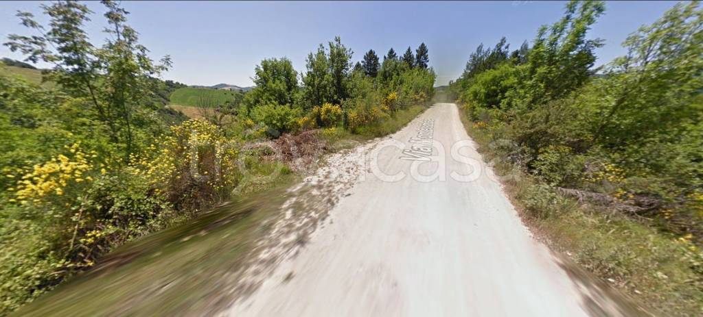 immagine annuncio 4 di 12