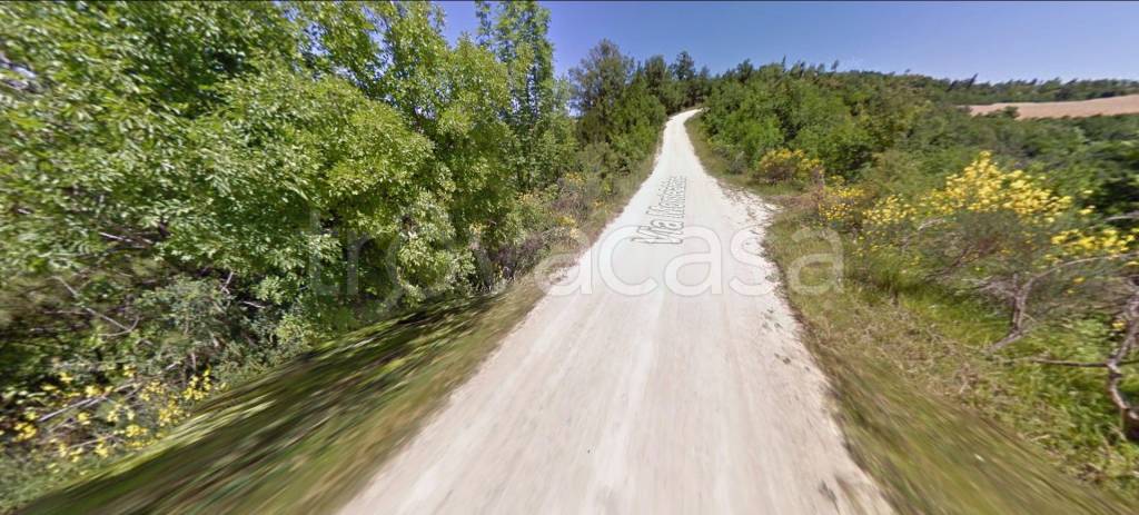 immagine annuncio 9 di 12