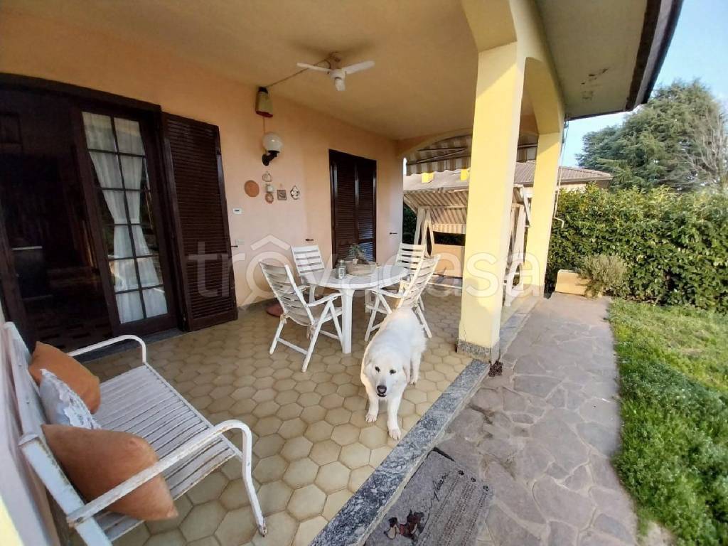 immagine annuncio 10 di 15