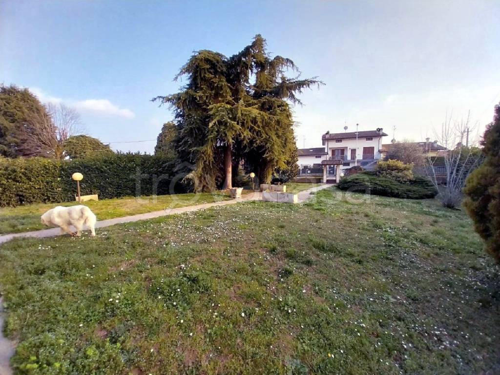 immagine annuncio 11 di 15