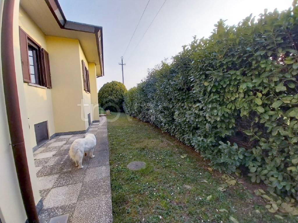 immagine annuncio 12 di 15