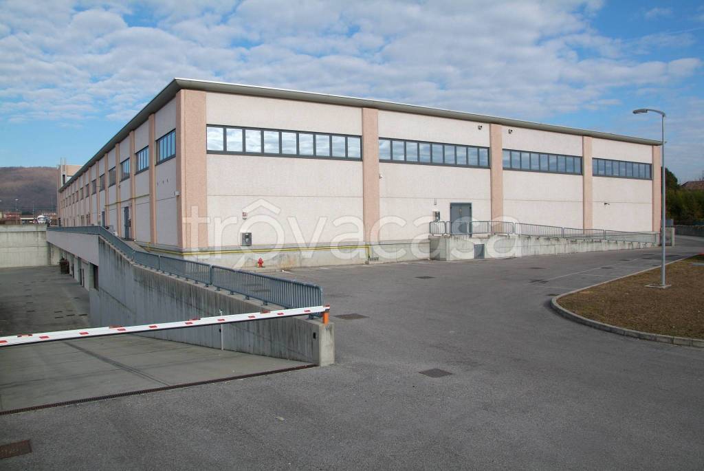 immagine annuncio 4 di 12