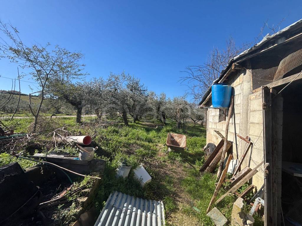 immagine annuncio 10 di 15