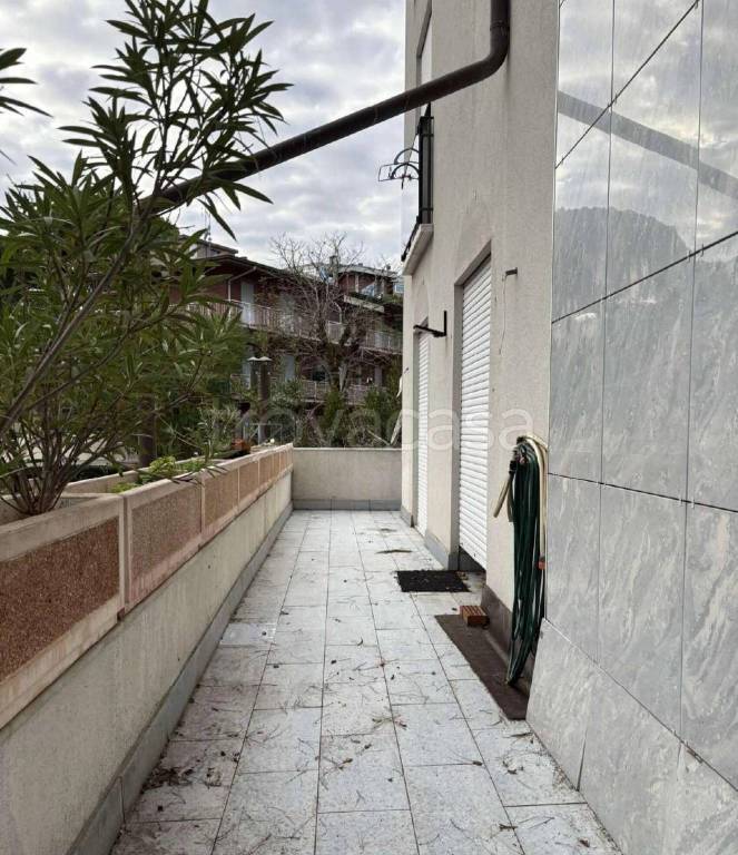 immagine annuncio 11 di 14