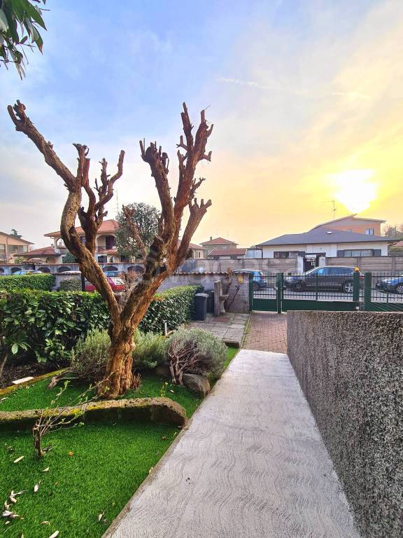 immagine annuncio 12 di 15