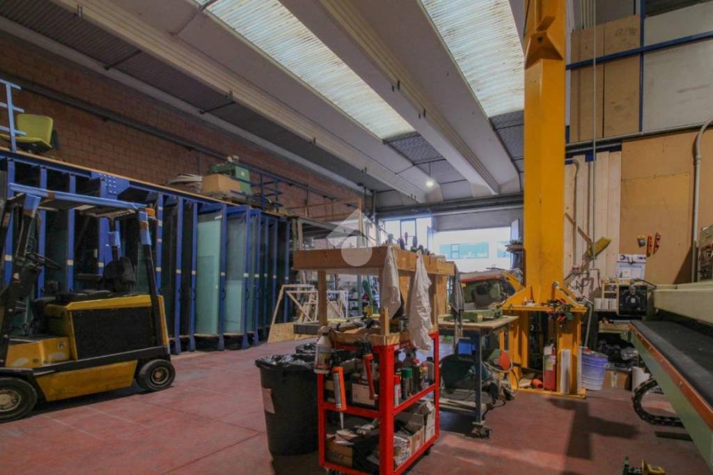 immagine annuncio 12 di 15