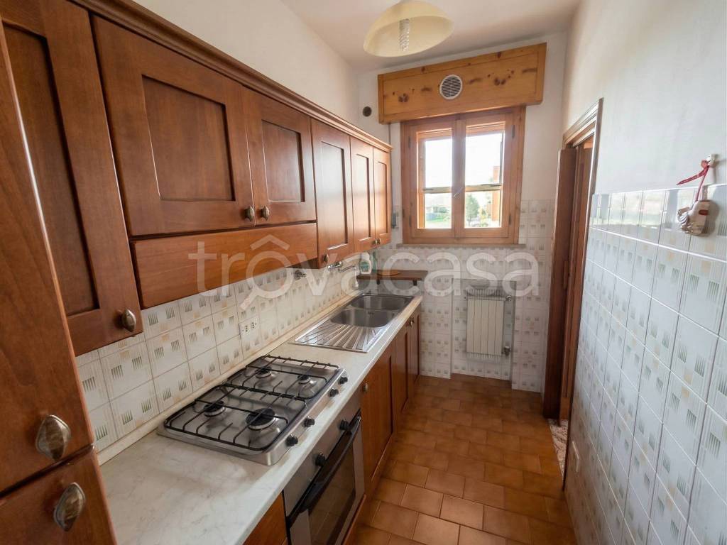 immagine annuncio 2 di 14