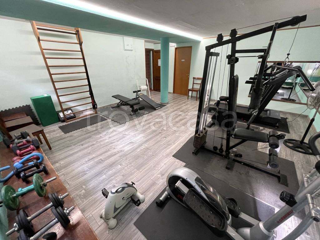 immagine annuncio 12 di 15